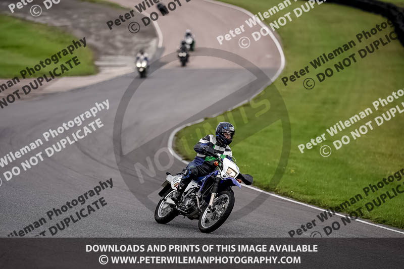 enduro digital images;event digital images;eventdigitalimages;lydden hill;lydden no limits trackday;lydden photographs;lydden trackday photographs;no limits trackdays;peter wileman photography;racing digital images;trackday digital images;trackday photos